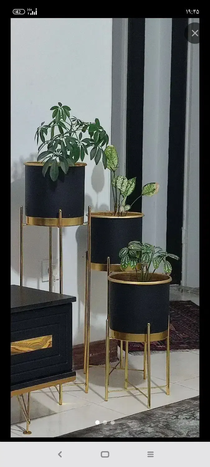 گلدان و گل|صنایع دستی و سایر لوازم تزئینی|گرگان, |دیوار