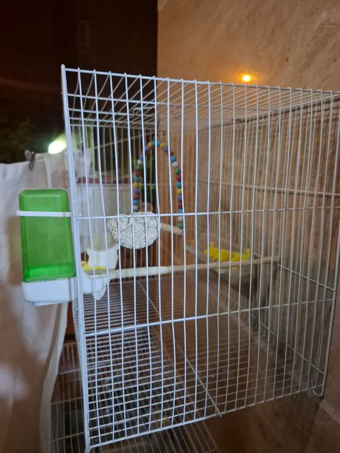 قفس سالم و نو|لوازم جانبی حیوانات|مشهد, چهارچشمه|دیوار