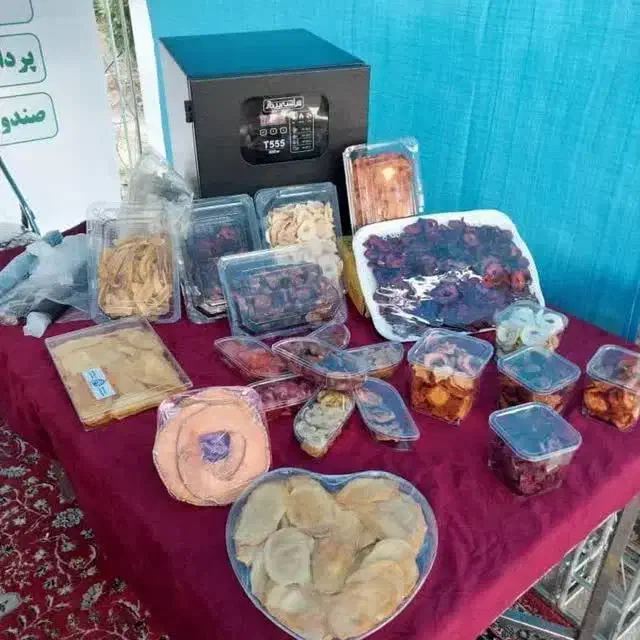 دستگاه میوه خشک کن t555|سایر لوازم برقی|اهواز, ۲۰۰۰واحدی|دیوار