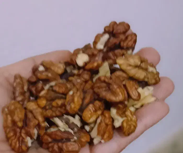 مغز گردو تازه|خوردنی و آشامیدنی|مینودشت, |دیوار
