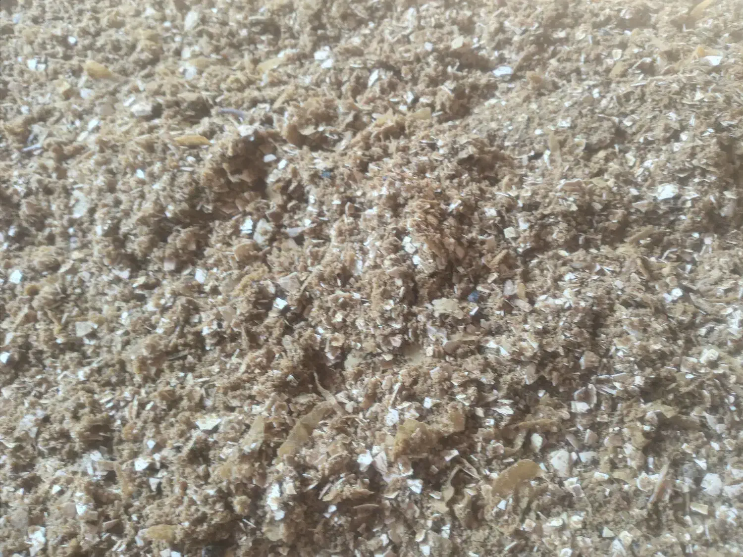 پودر گوشت جوجه با پروتئین بالا|حیوانات مزرعه|مشهد, امیریه|دیوار