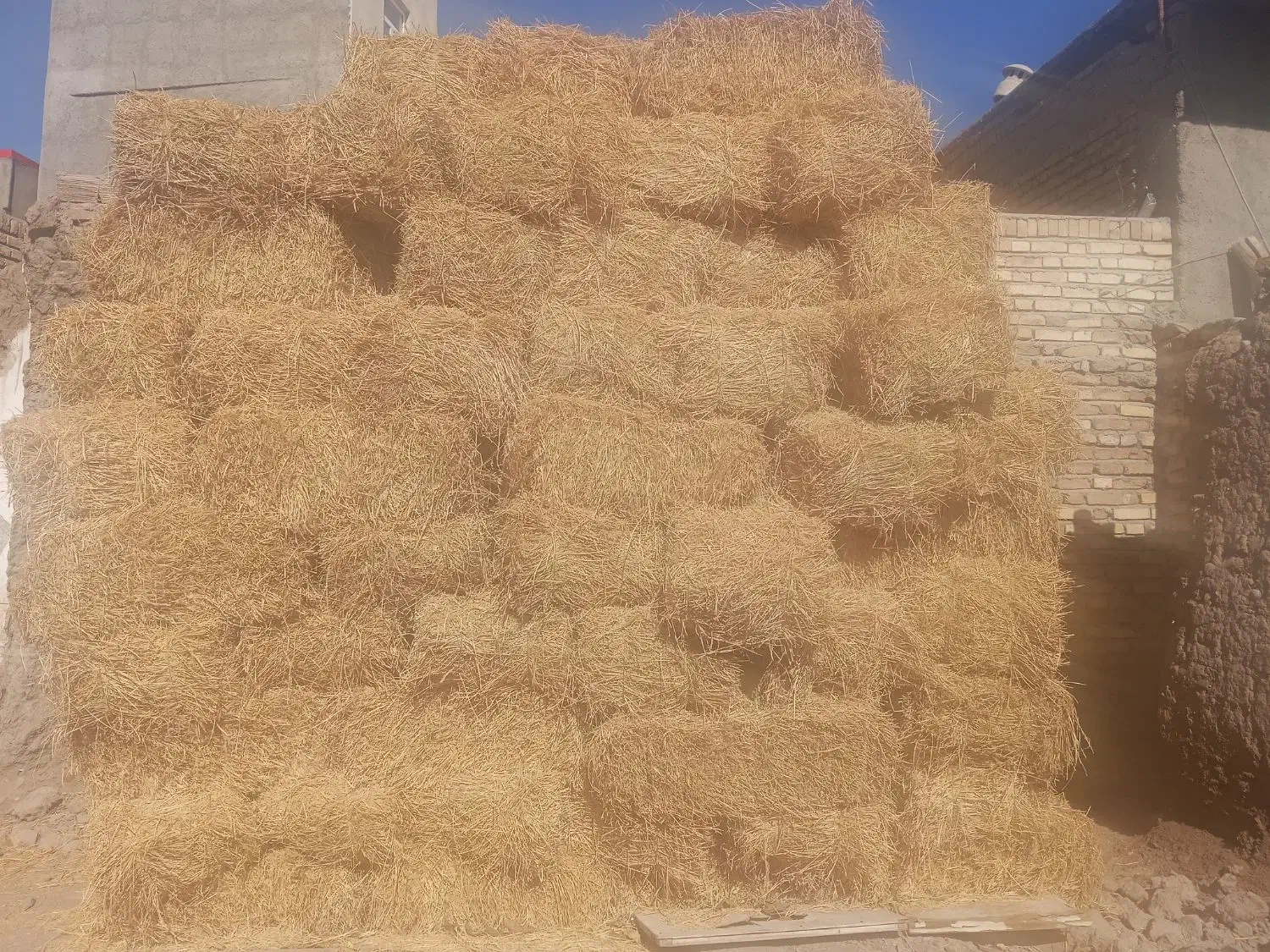 فروش یونجه|حیوانات مزرعه|سراب, |دیوار