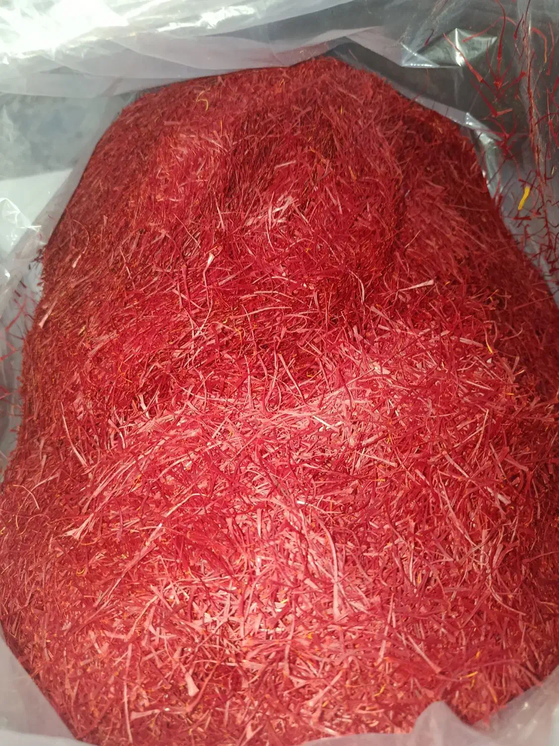 انواع زعفران پوشال و نگین|حراج|تربت جام, مسکن مهر|دیوار