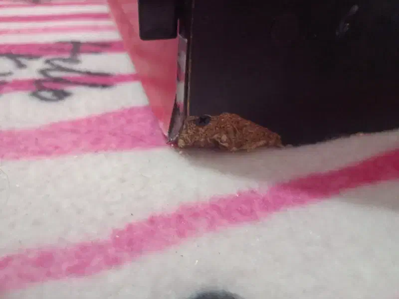 کمد کودک|جاکفشی، کمد، دراور|کرمانشاه, |دیوار