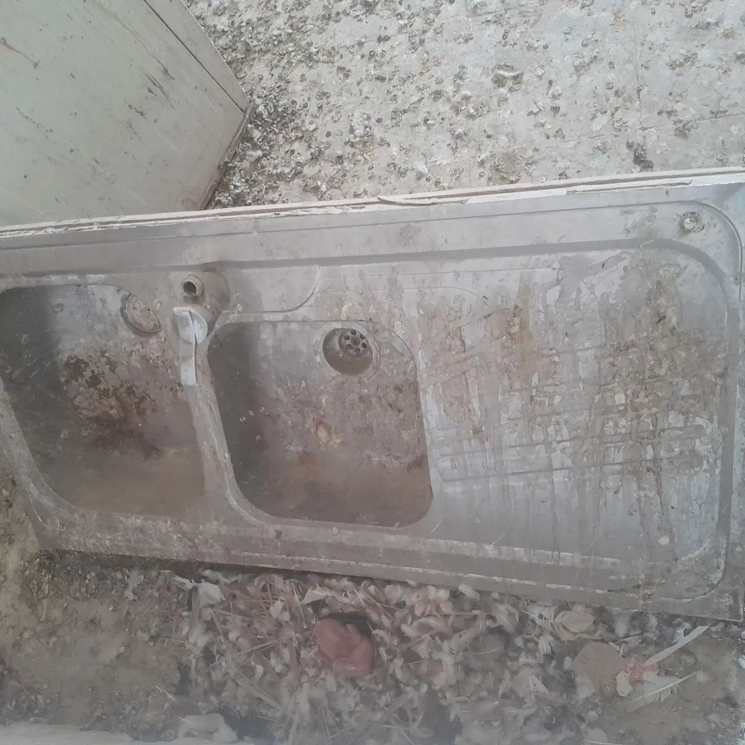 هود|هود|بندر کنگان, |دیوار