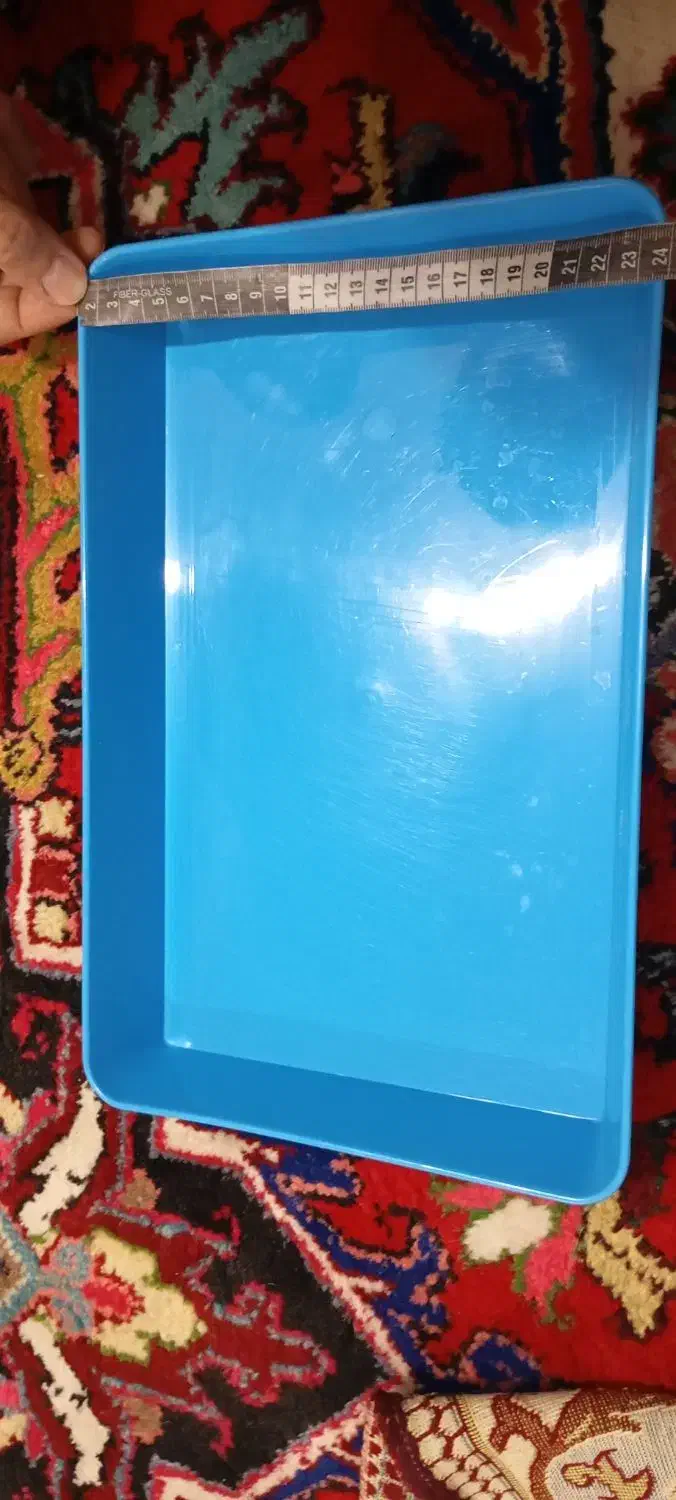 سینی پلاستیک|ظروف نگهدارنده، پلاستیکی، یکبارمصرف|باسمنج, |دیوار