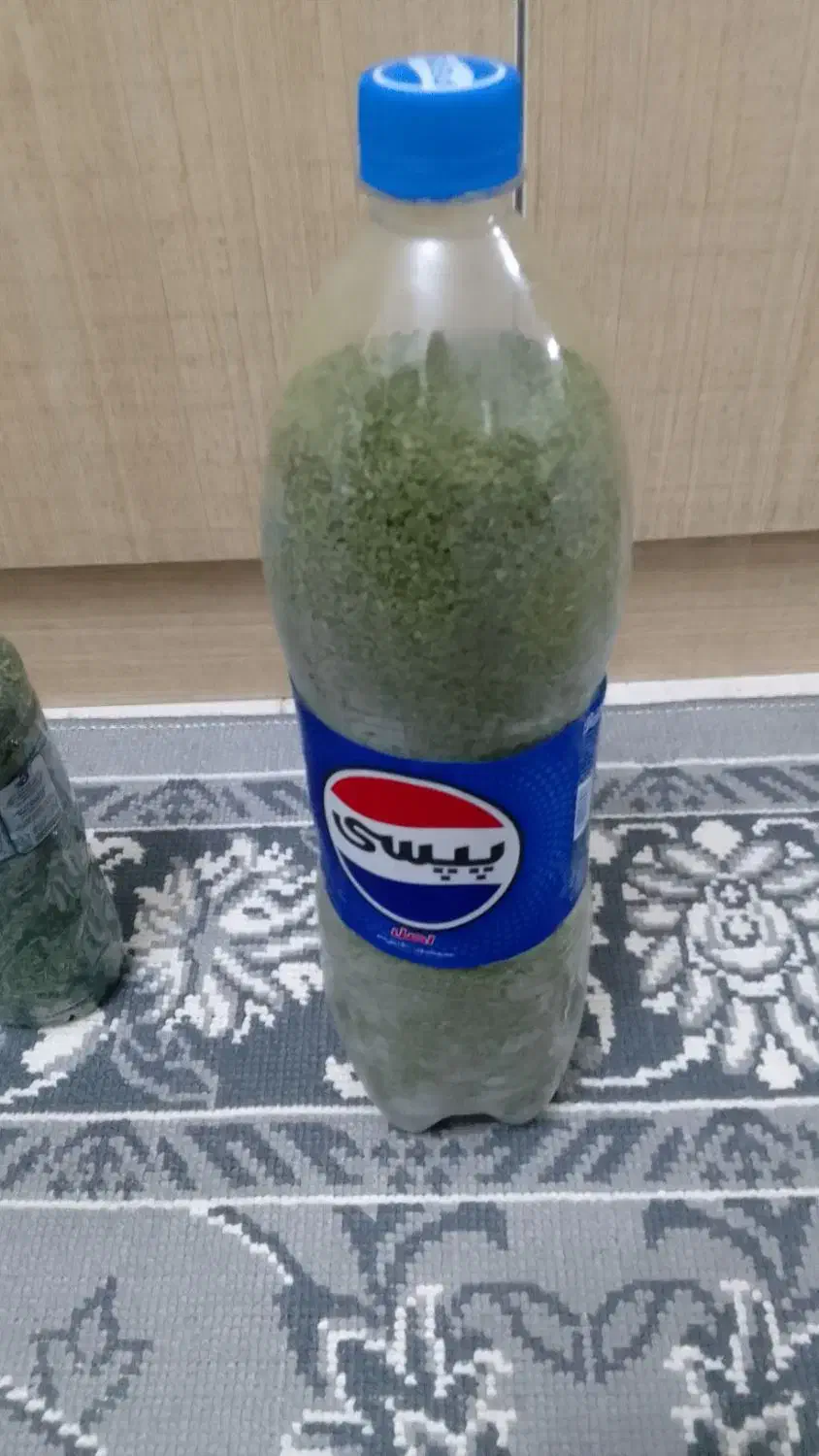 نعنا خشک شده|خوردنی و آشامیدنی|رشت, نخودچر|دیوار