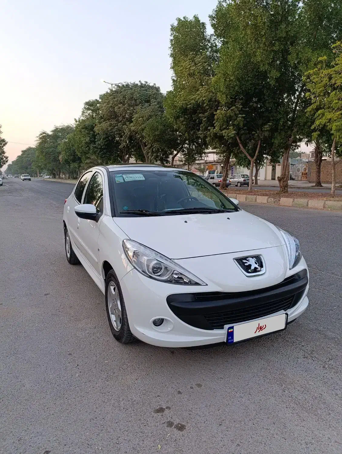 207پانا402|خودرو سواری و وانت|دزفول, |دیوار