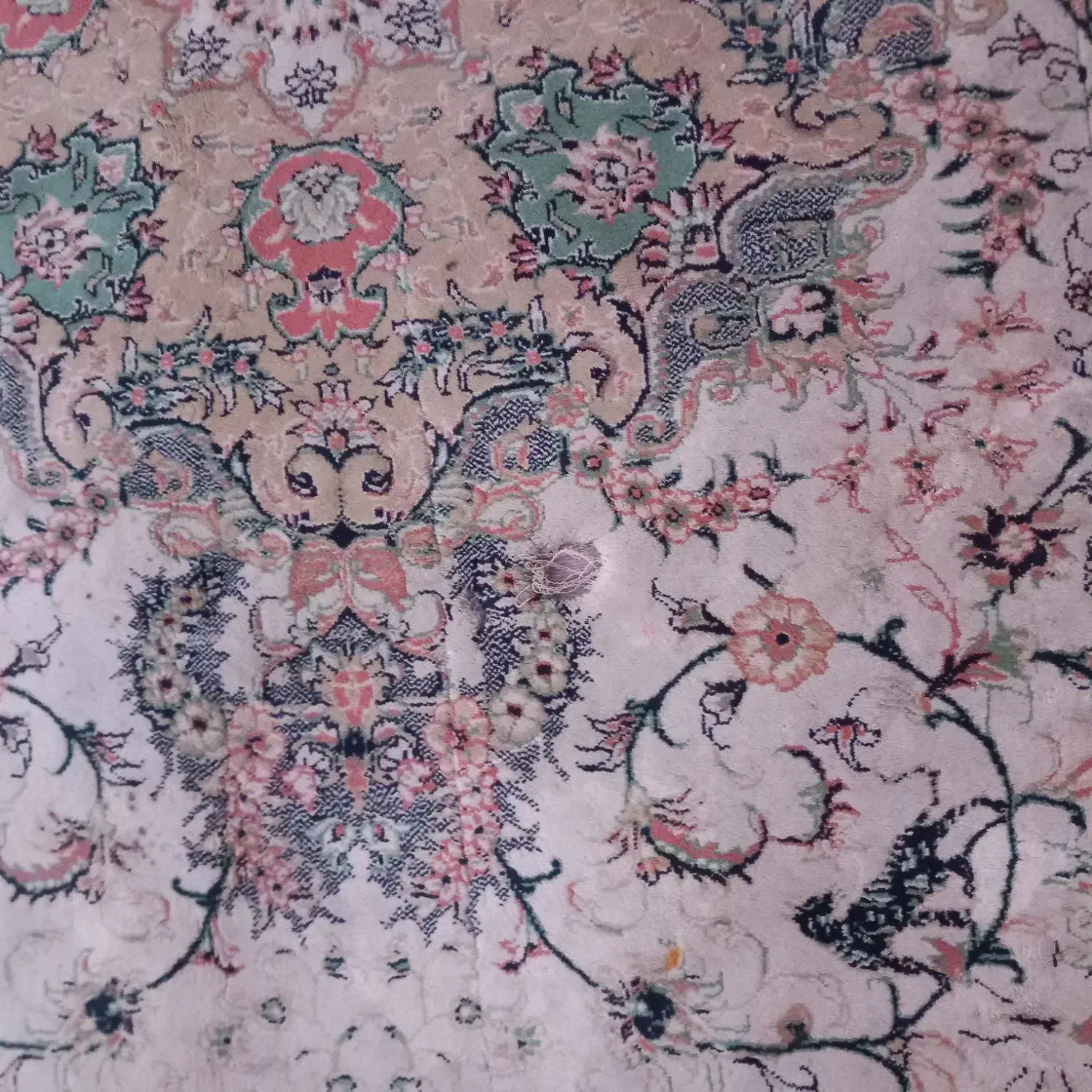 فرش|فرش|گرگان, |دیوار