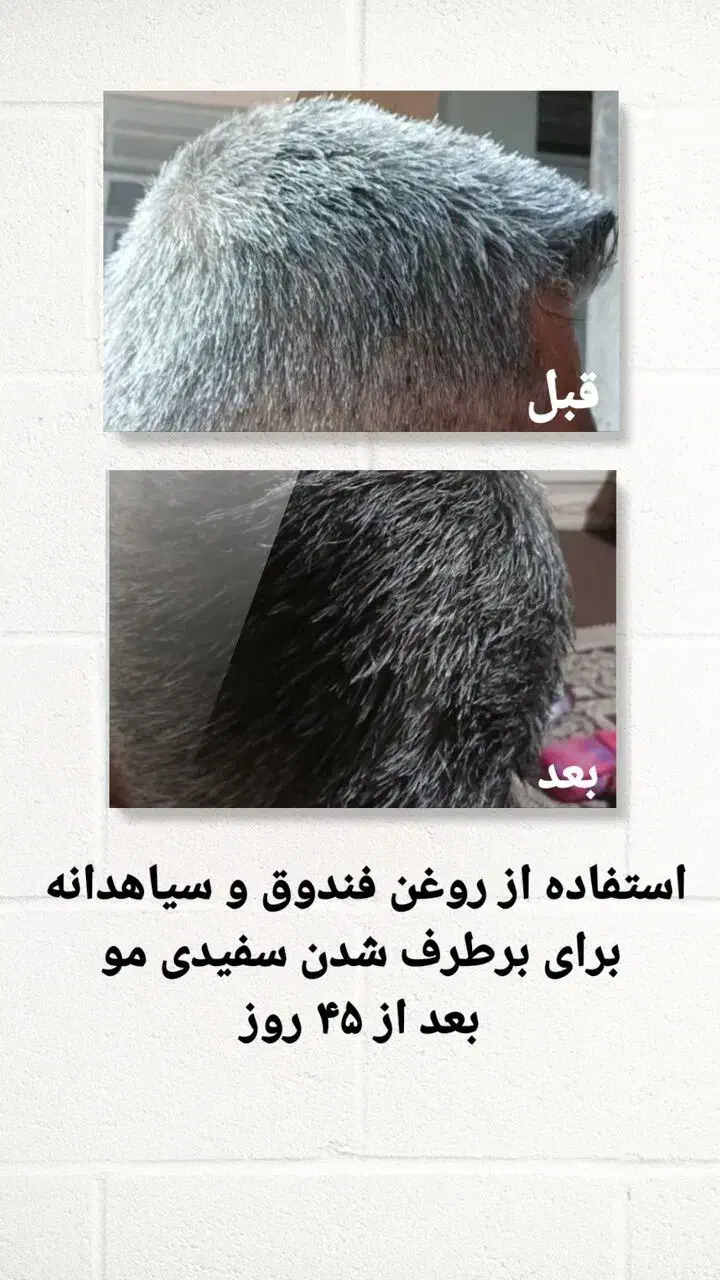 تقویت کننده مژه و ابرو مو|فعالیت داوطلبانه|تربت جام, جامی|دیوار