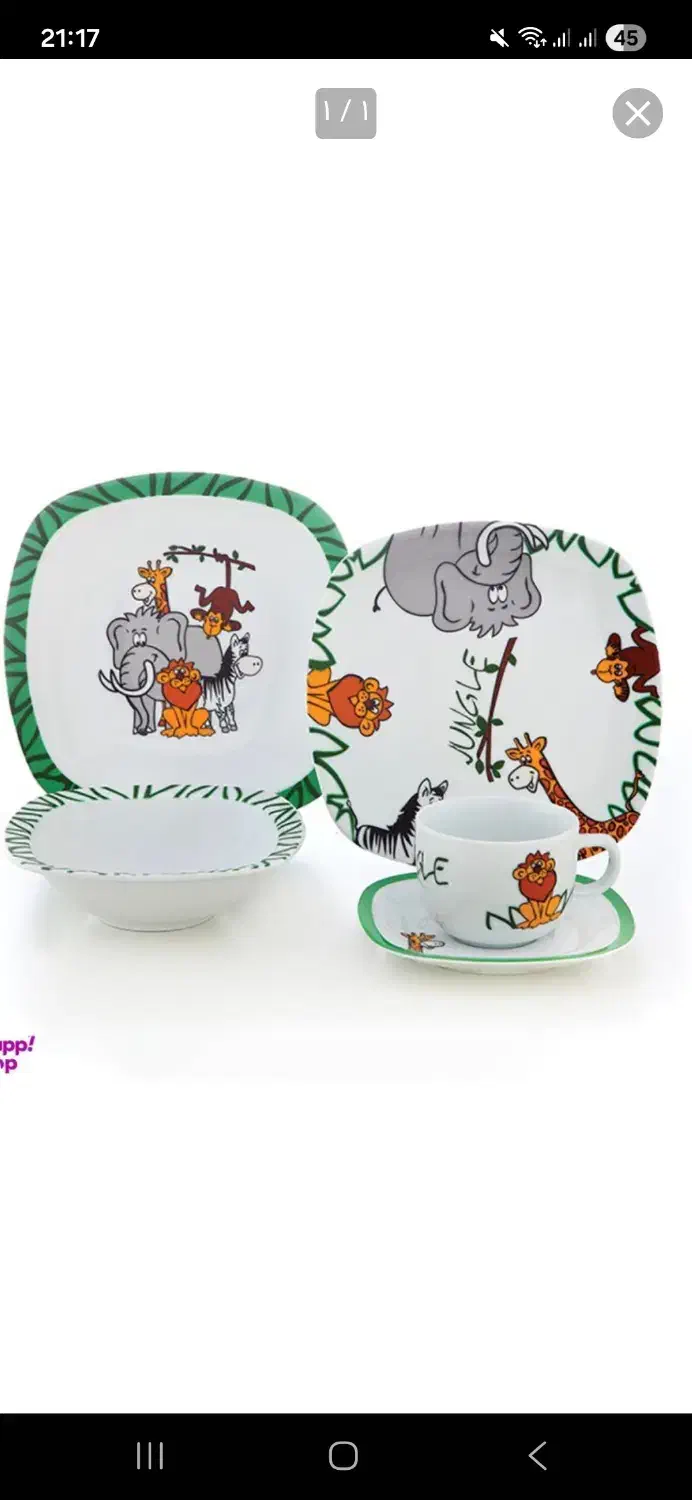 سرویس غذا خوری ۵پارچه زرین|ظروف سرو و پذیرایی|ری, علایین|دیوار