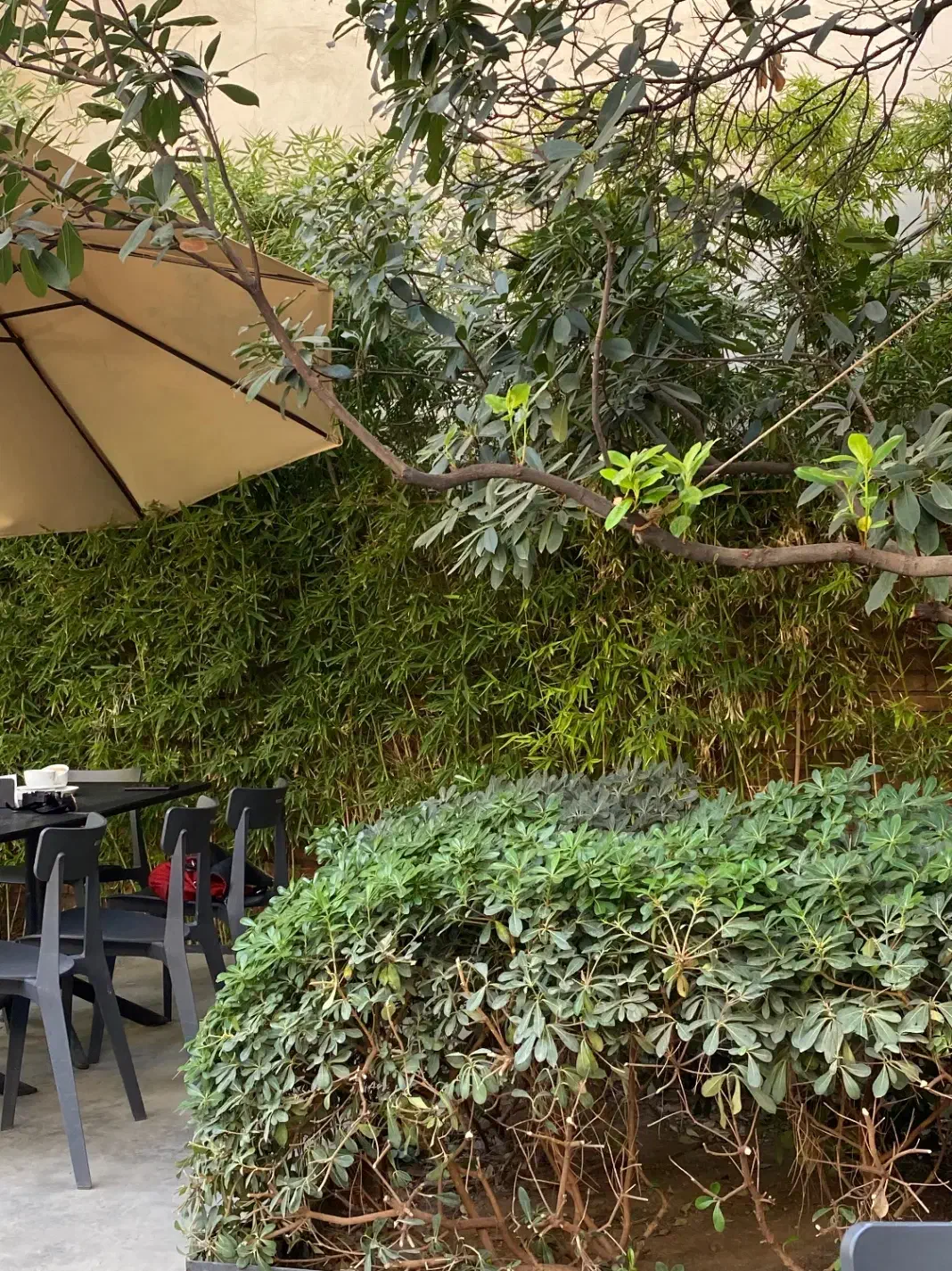 استخدام سرایدار خانم|استخدام سرایداری و نظافت|تهران, جماران (نیاوران)|دیوار