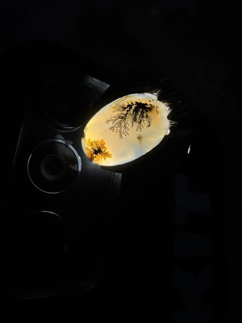 انگشتر شجر|جواهرات|میاندوآب, |دیوار