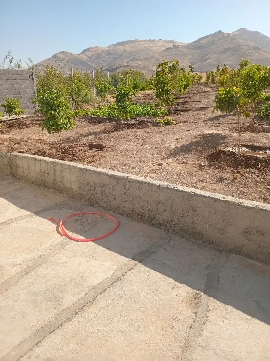 کسب وکار|خدمات پیشه و مهارت|سنندج, |دیوار