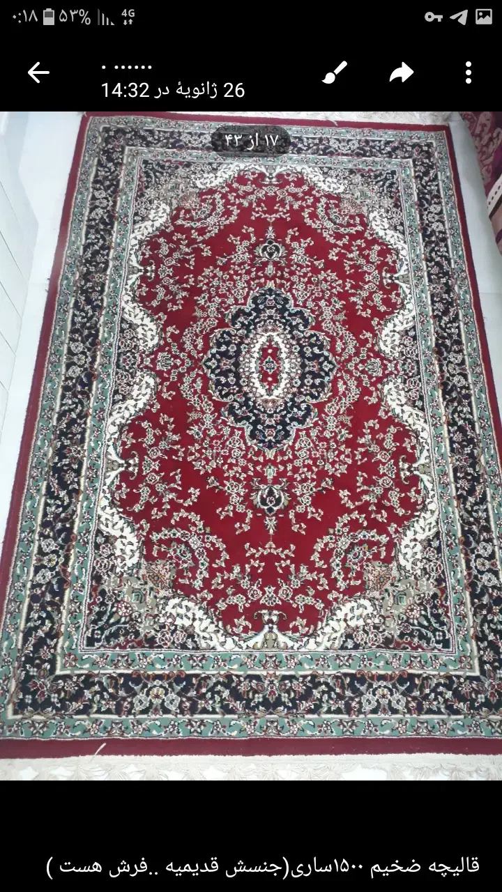گلیم فرش ۴متری|گلیم، جاجیم، گبه|ساری, |دیوار