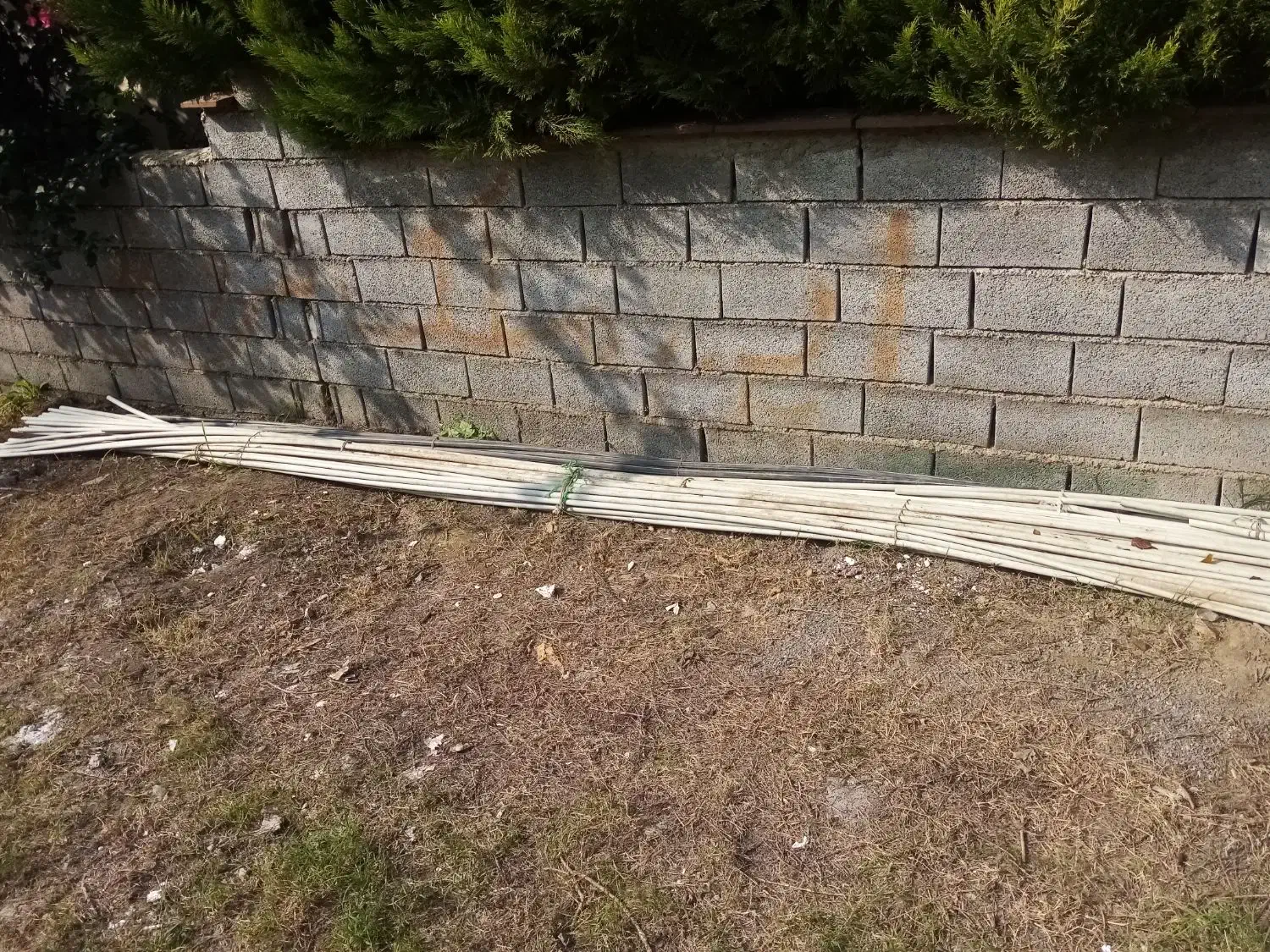 لوله برق  50 عدد با چند تادونه مشکی|مصالح و تجهیزات ساختمان|آمل, |دیوار