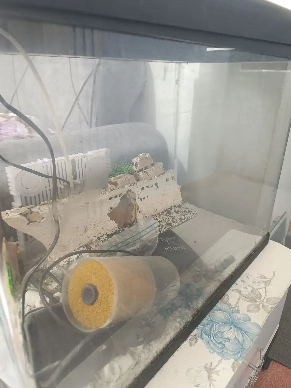 اکواریوم با تمام تجهیزات|ماهی|بندرعباس, |دیوار