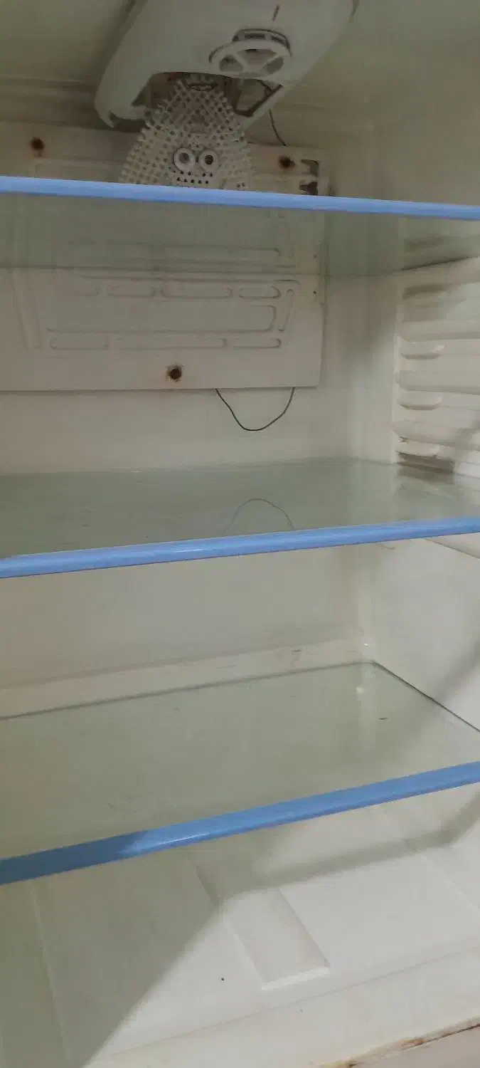 یخچال و فریزر مغازه در حد نو|یخچال و فریزر|سوسنگرد, |دیوار