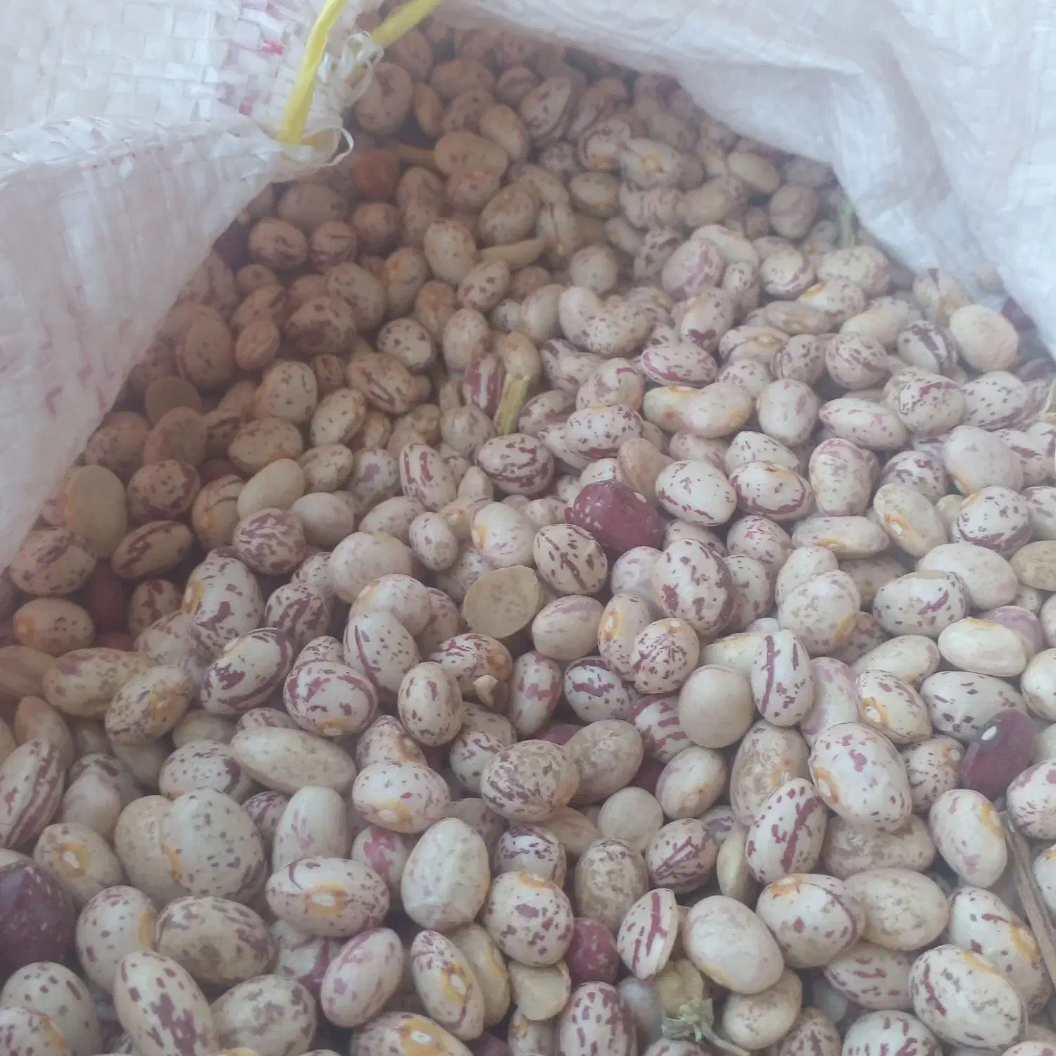 لوبیا محلی درجه ۱|خوردنی و آشامیدنی|لالی, |دیوار