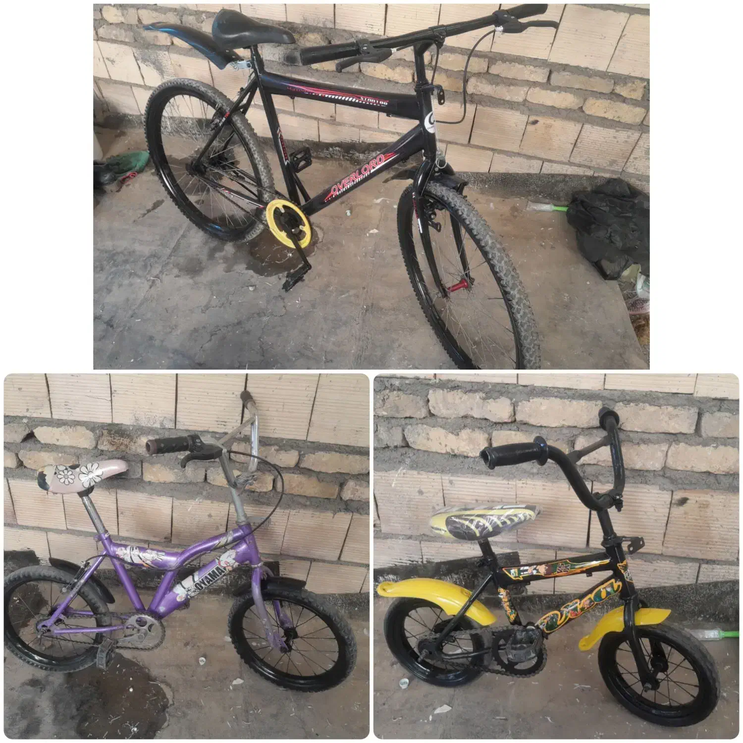 دوچرخه سایز۲۶و۱۶و۱۲|دوچرخه، اسکیت، اسکوتر|مشهد, شهید قربانی|دیوار