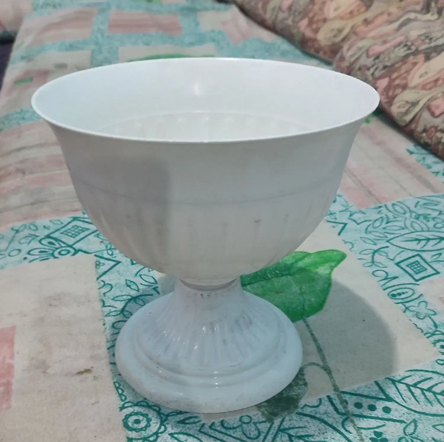 گلدان|گل و گیاه طبیعی|بم, |دیوار