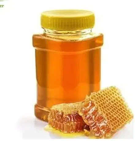 عسل طبیعی کوهستان مرغوب و بشرط|خوردنی و آشامیدنی|قرچک, مهدیه|دیوار