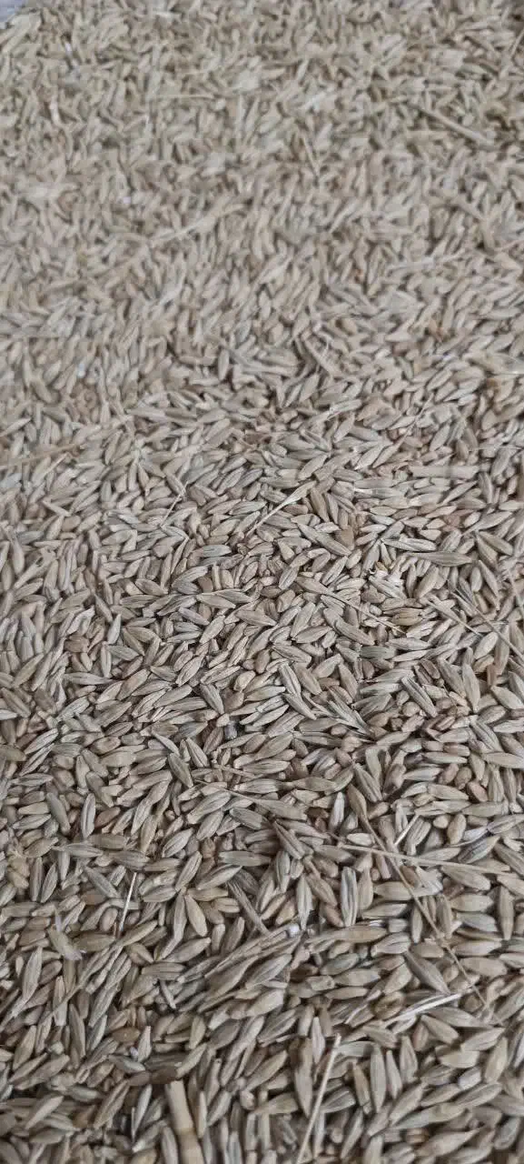 جومحلی|گل و گیاه طبیعی|چگنی, |دیوار