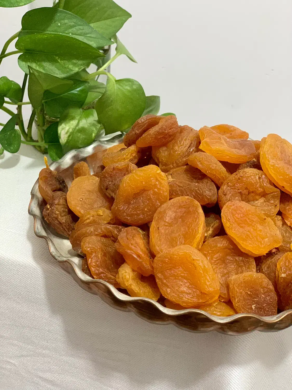 ادویه و خشکبار کاشانه|خوردنی و آشامیدنی|کاشان, پاقپان|دیوار