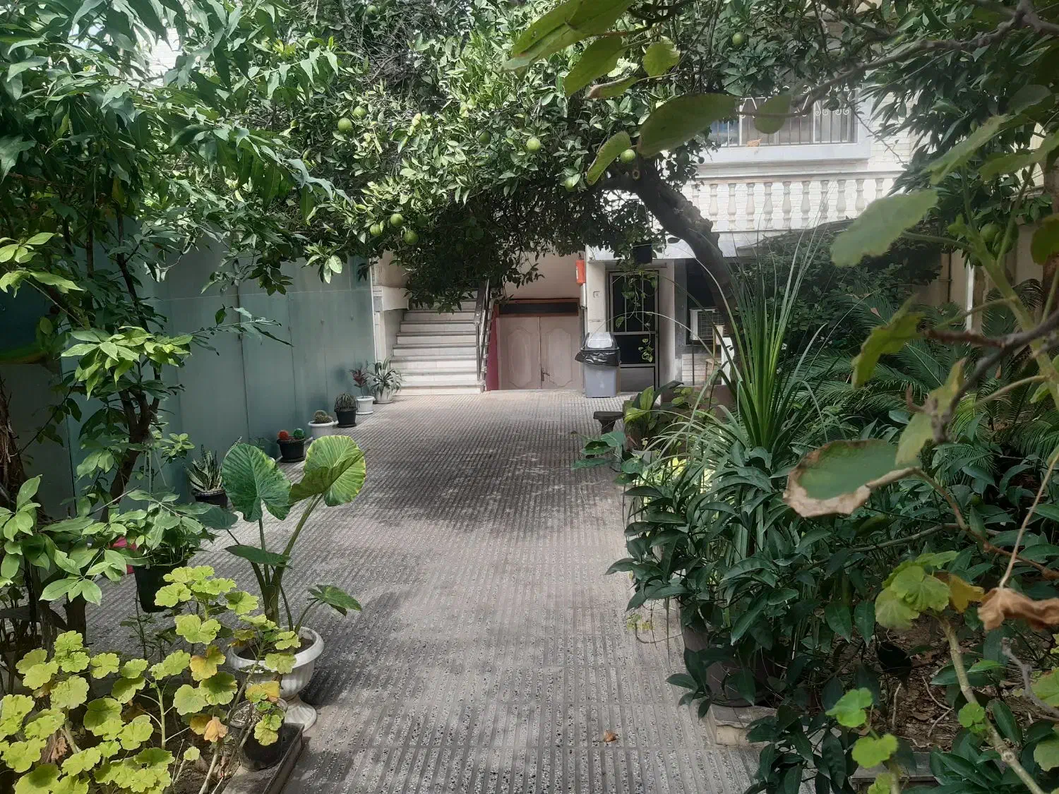 پانسیون(خوابگاه دانشجوئی) آقایان|اجارهٔ کوتاه‌مدت آپارتمان و سوئیت|گرگان, |دیوار