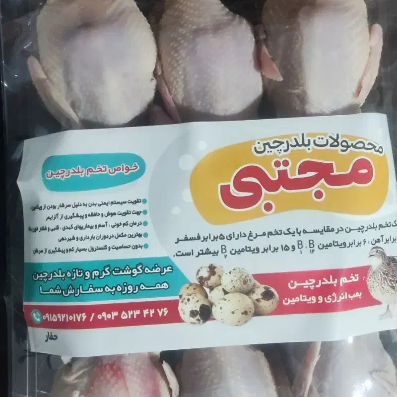 گوشت تازه بلدرچین کشتار روز|حیوانات مزرعه|مشهد, نیزه|دیوار