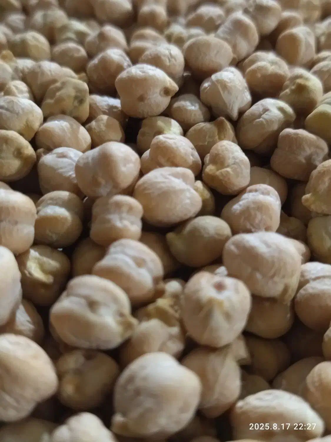 خشکبار رایان|خوردنی و آشامیدنی|مشهد, جانباز|دیوار