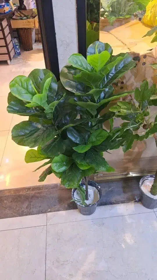 درختچه های مصنوعی وارداتی|گل مصنوعی|تهران, ابوذر|دیوار