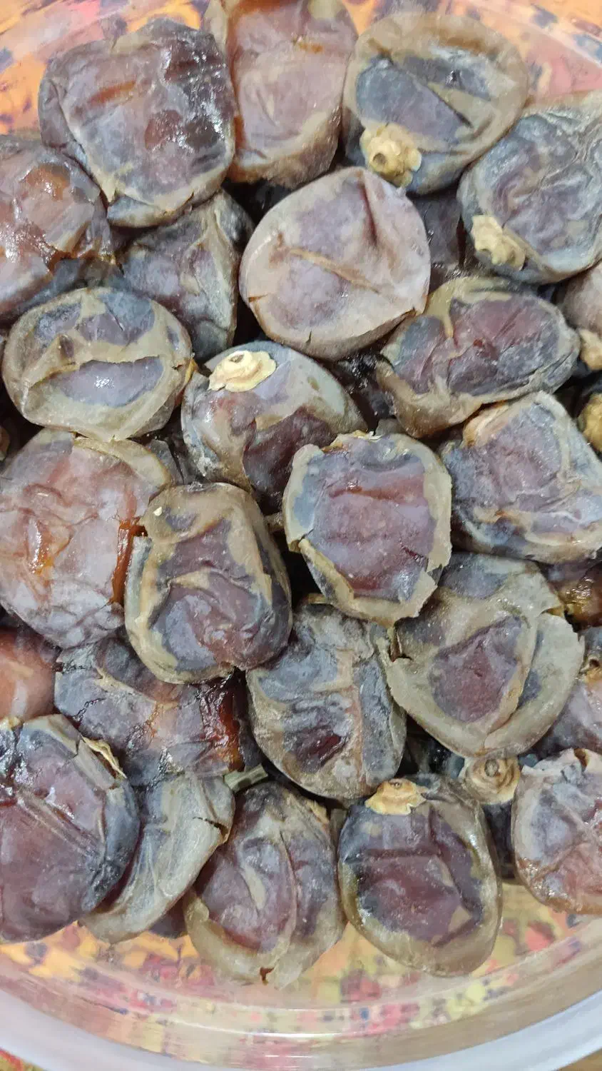 خرمای گوشتی و خوش طعم خرمشهر|خوردنی و آشامیدنی|شیراز, تپه تلویزیون|دیوار