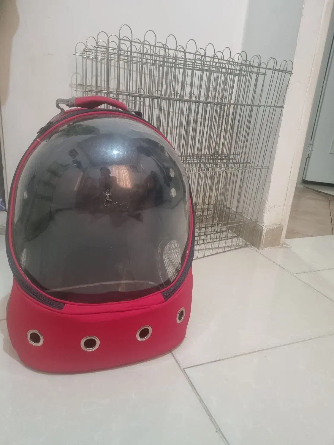 وسایل پت|لوازم جانبی حیوانات|کرج, عظیمیه|دیوار