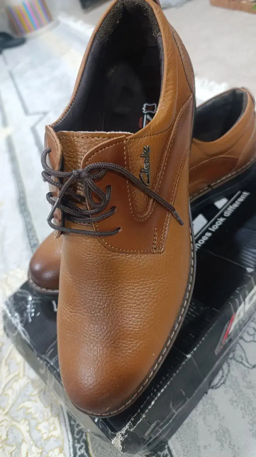 کفش مجلسی|کیف، کفش، کمربند|بهبهان, |دیوار