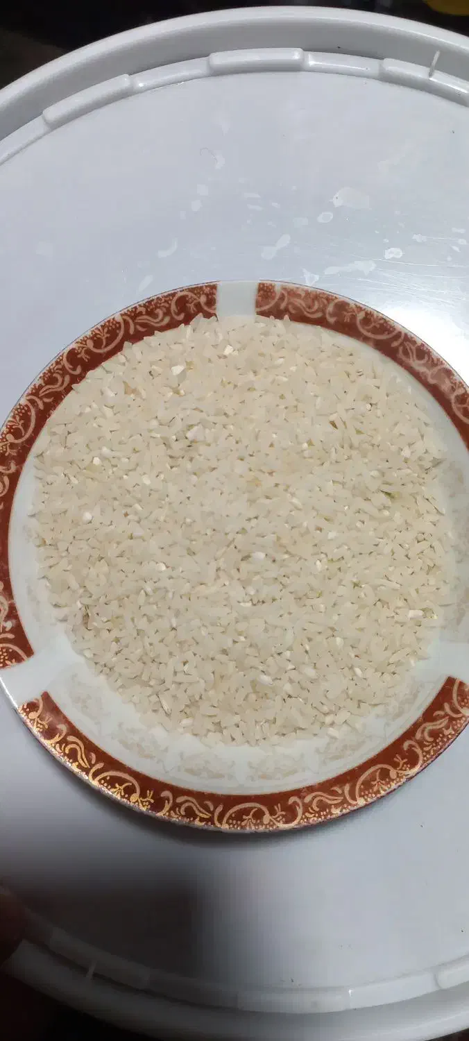 لاشه طارم هاشمی|خوردنی و آشامیدنی|ساری, |دیوار