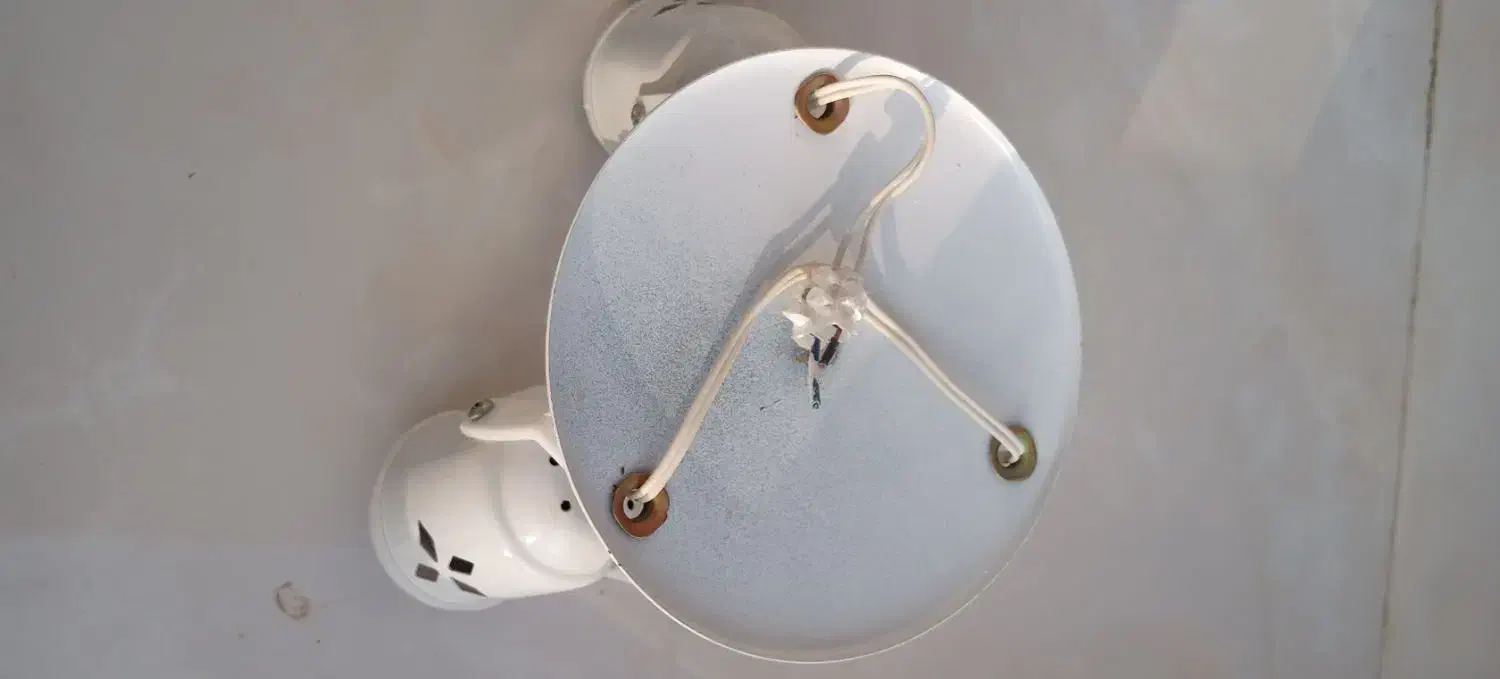 سر پیچ سقفی دو شاخه و سه شاخه|لوستر و چراغ آویز|رشت, بازار|دیوار