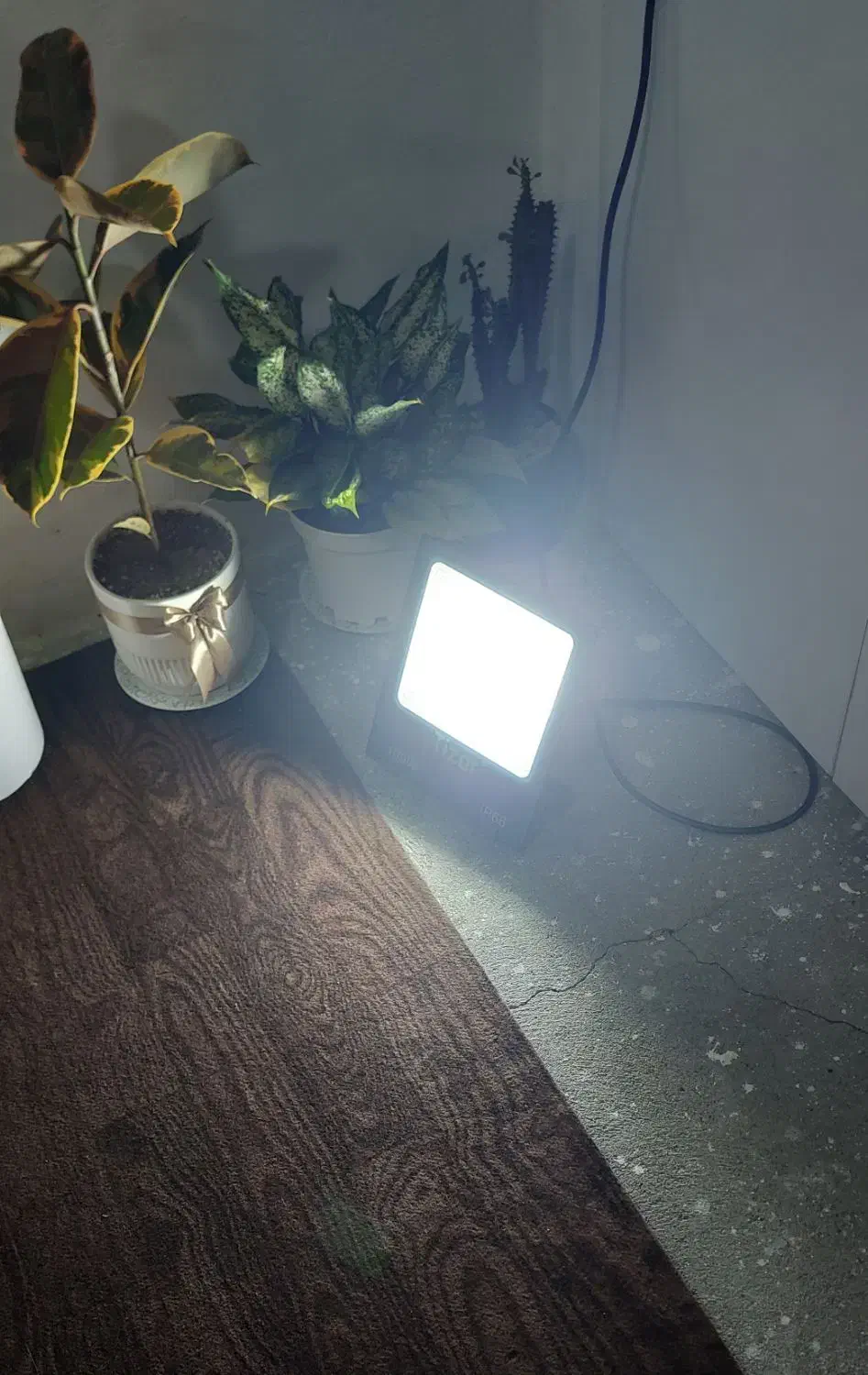 پرژکتور ۱۰۰وات LED|لامپ و چراغ|بندر انزلی, لیچارگی حسن رود|دیوار