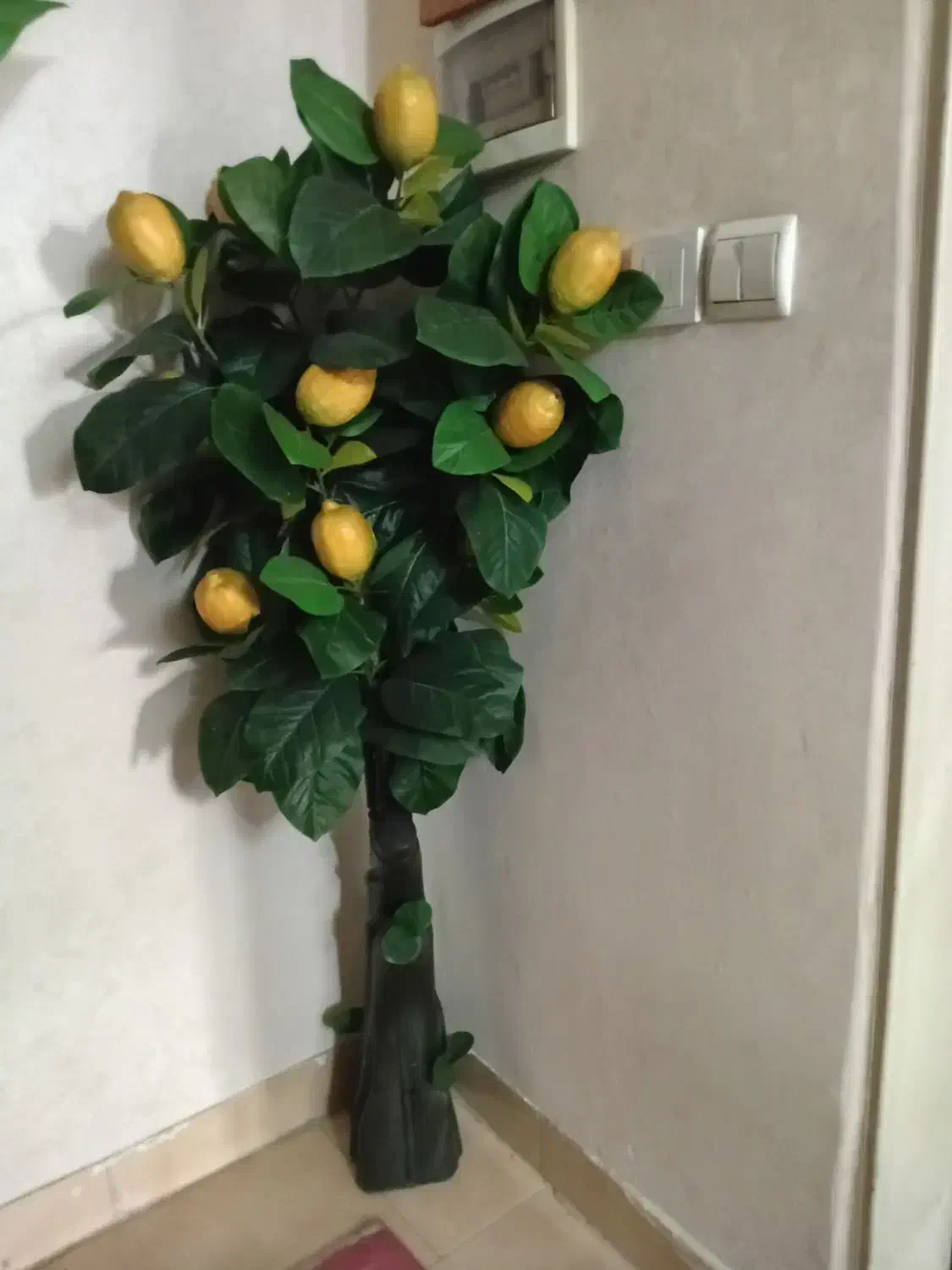 درخت مصنوعی|گل مصنوعی|پیشوا, |دیوار