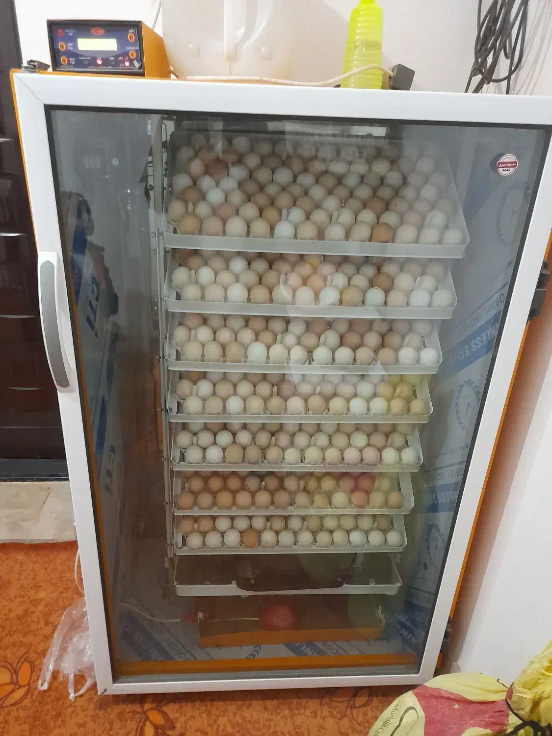 دستگاه جوجه کشی ۵۶۰تایی|لوازم جانبی حیوانات|تایباد, |دیوار