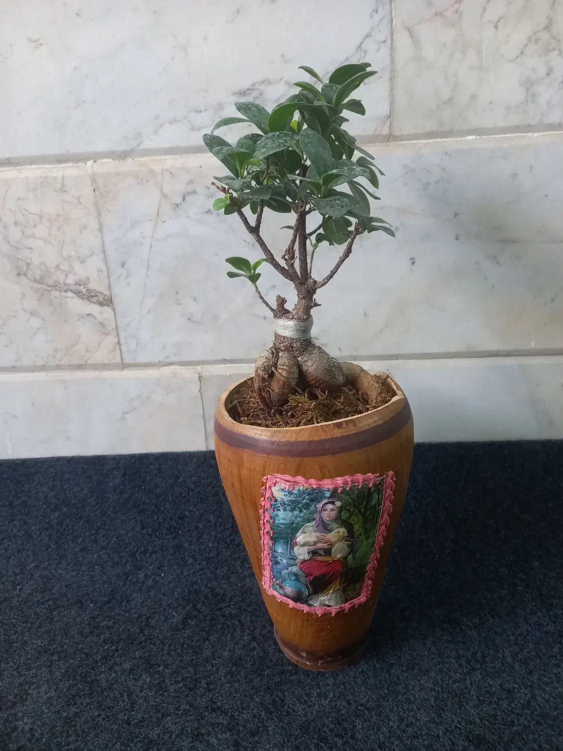 تعویض خاک گلدان درمحل شما|گل و گیاه طبیعی|قم, میرزائیه|دیوار