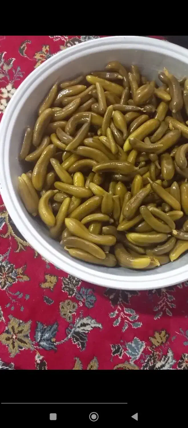 خیارشور|خوردنی و آشامیدنی|بستان آباد, |دیوار
