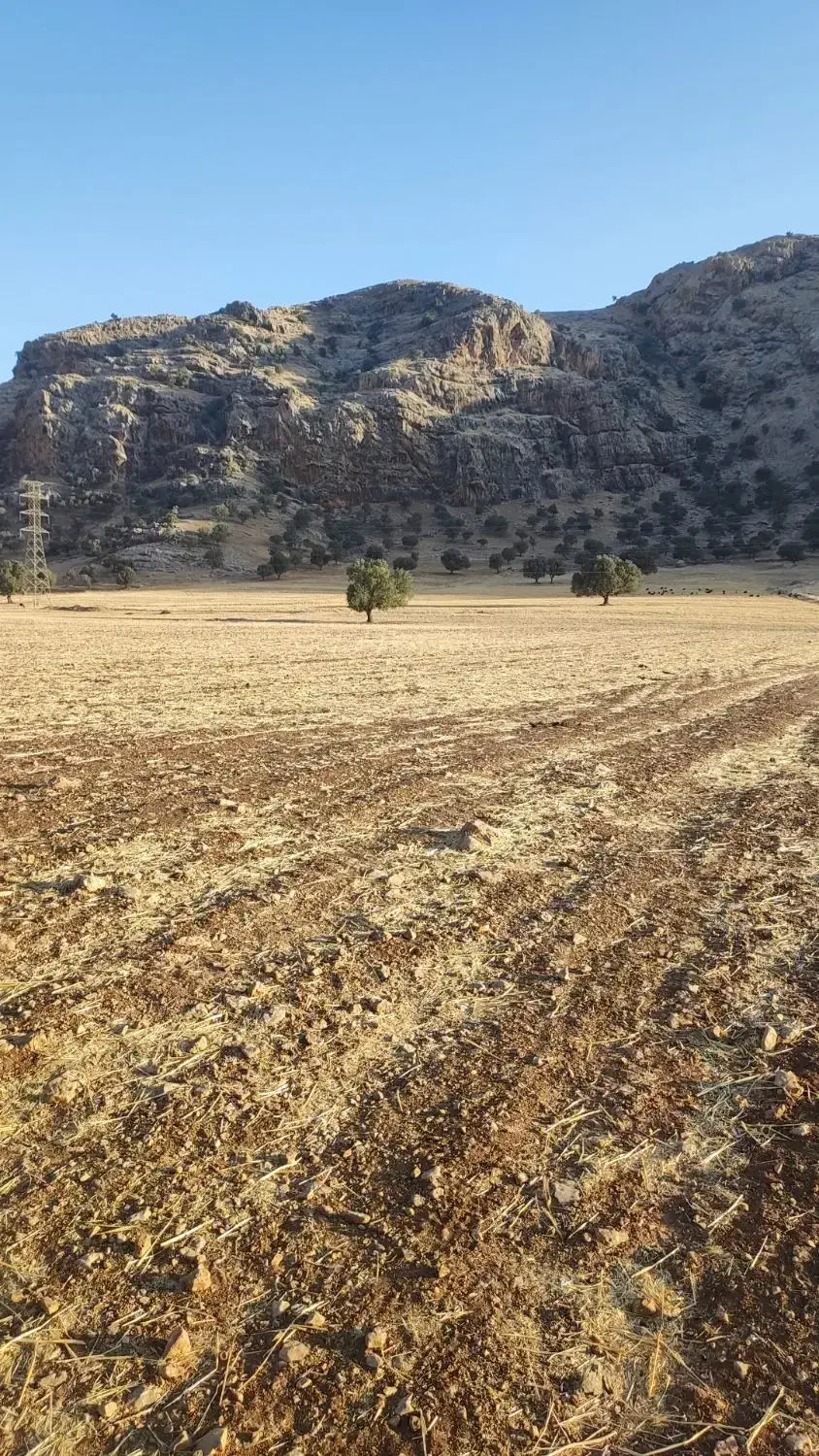 زمین کشاورزی|فروش دفتر صنعتی، کشاورزی، تجاری|ایذه, |دیوار