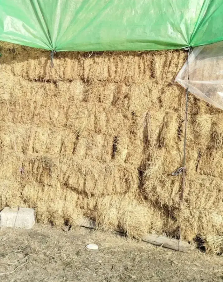 یونجه|خدمات باغبانی و درختکاری|گرمادوز, |دیوار