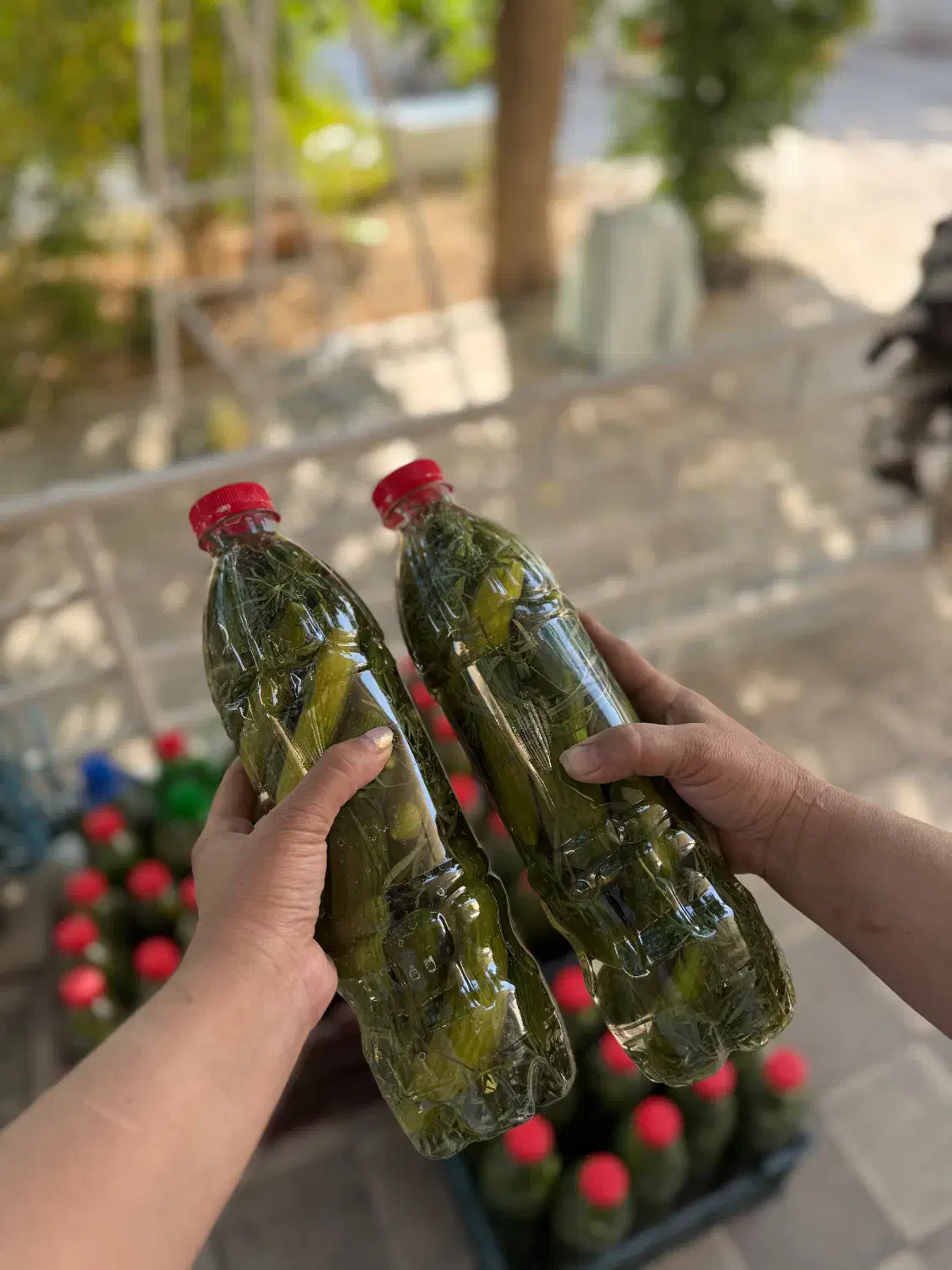مربای به و خیارشور خانگی|خوردنی و آشامیدنی|شیراز, آزادگان|دیوار