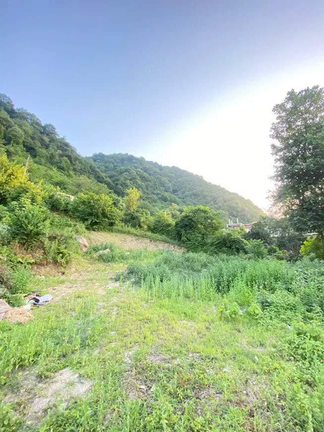 فروش زمین مسکونی لیالستان بالا کوچه امام رضا|فروش زمین و ملک کلنگی|لاهیجان, لیالستان|دیوار