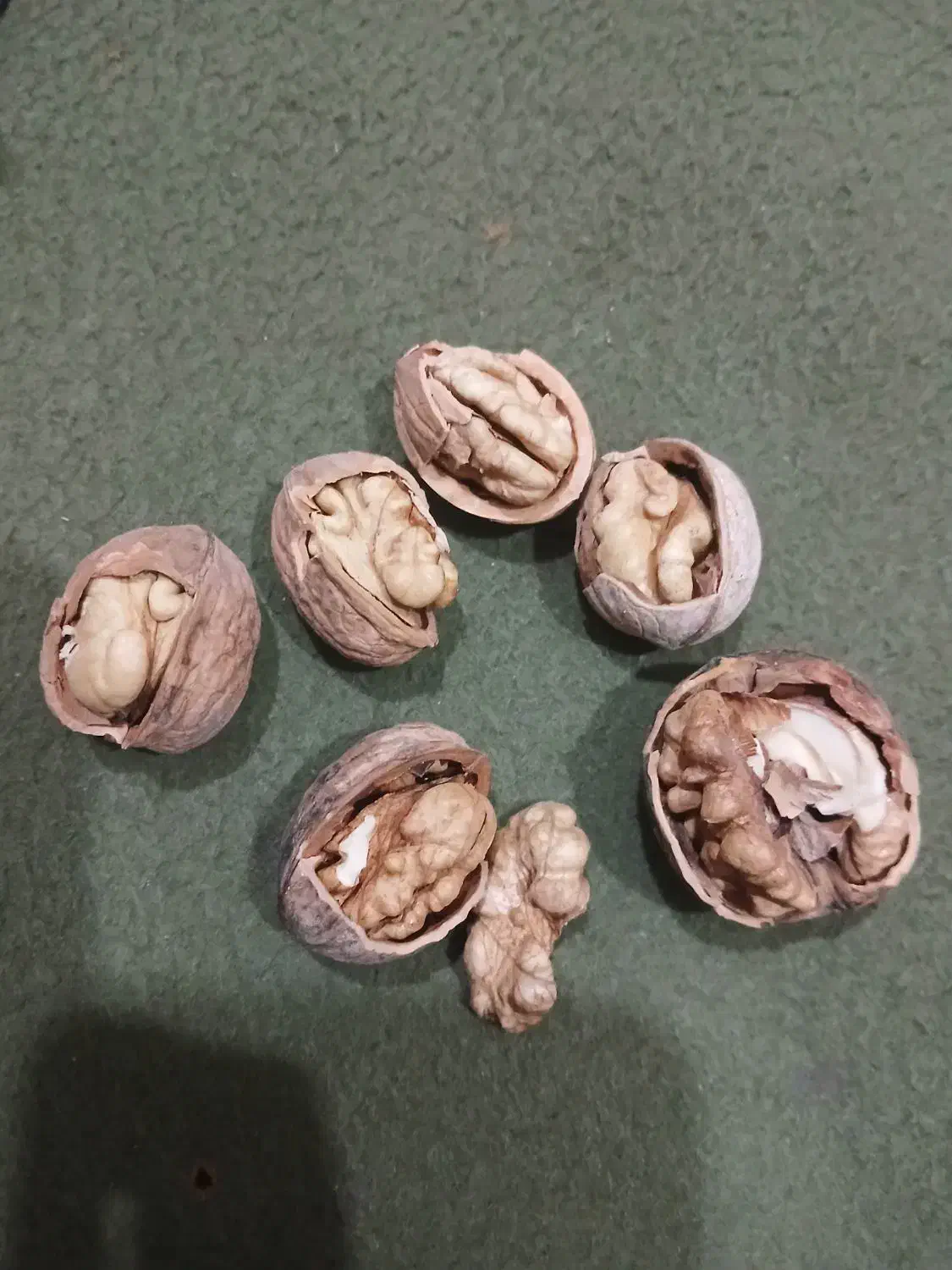 گردو امسالی مغز سفید وپر|خوردنی و آشامیدنی|مشهد, امیرآباد|دیوار