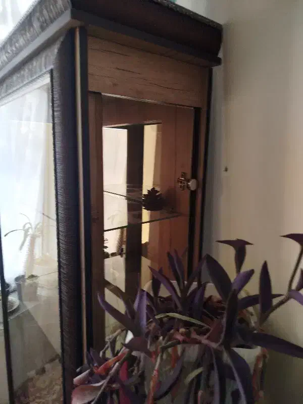 کمد بوفه|بوفه، ویترین، کنسول|بجنورد, |دیوار