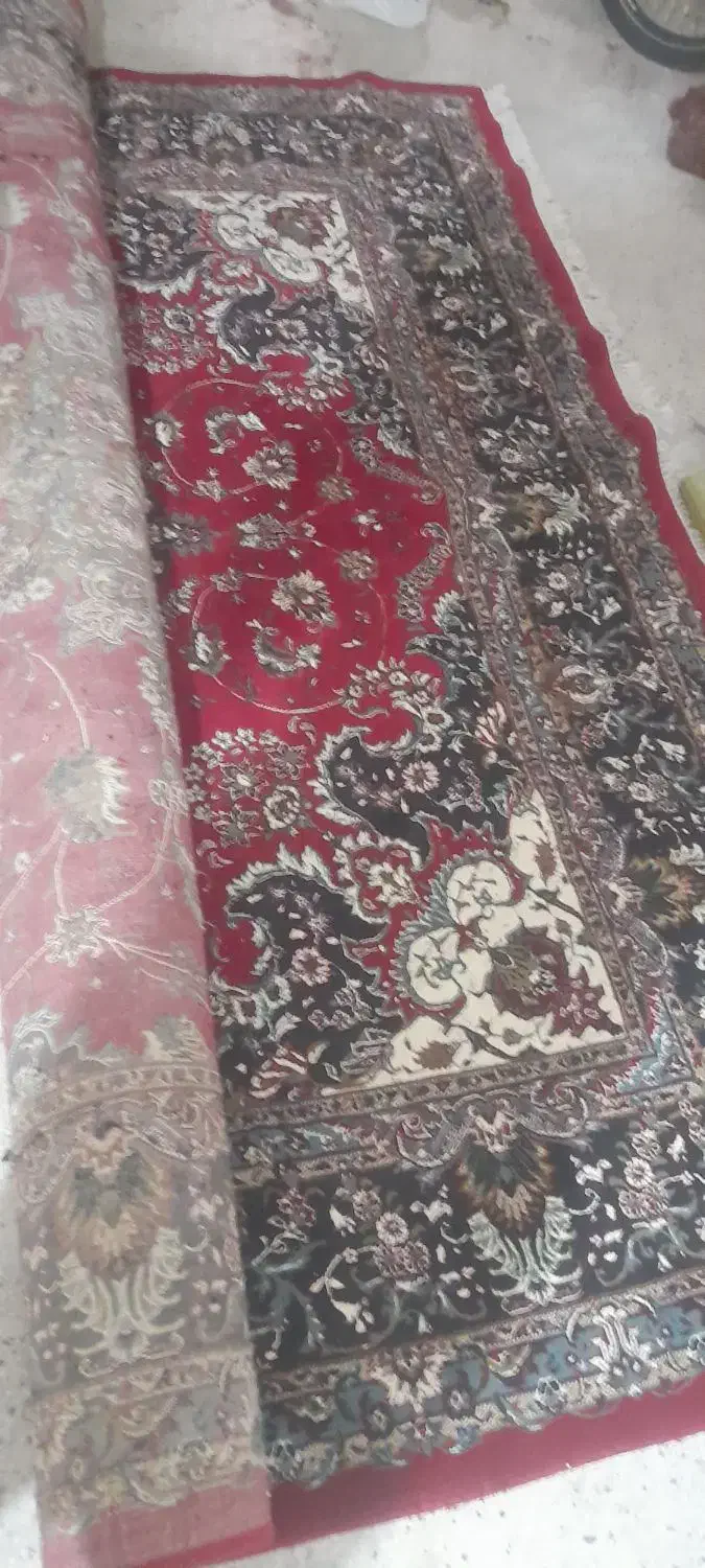 فرش12متری|فرش|قم, شهر قائم|دیوار