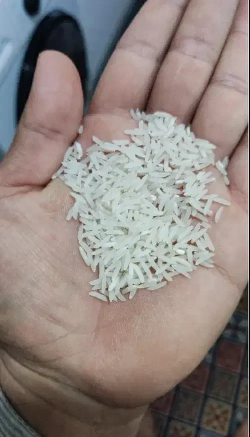 برنج فجر سوزنی اعلا خوش عطر و خوش پخت|خوردنی و آشامیدنی|علی‌آباد کتول, |دیوار
